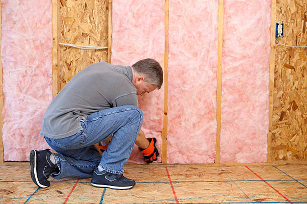 Trusted Elgin, TX Insulation Contractor Experts